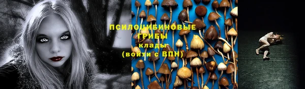 эйфоретик Краснослободск