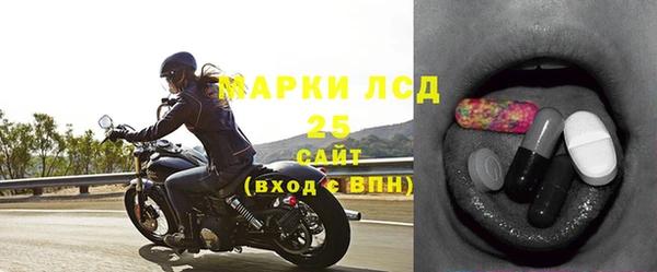 ГАЛЛЮЦИНОГЕННЫЕ ГРИБЫ Бабаево