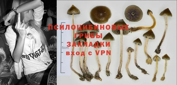эйфоретик Краснослободск